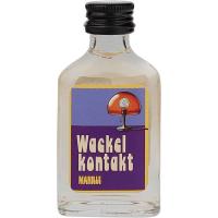 Wackelkontakt - Marillenlikör 0,02l, 20 Stück/Karton 16% Vol.