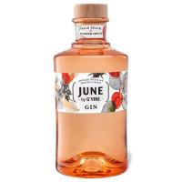 June by G'Vine Wild Peach & Summer Fruits 37,5% Vol. 0,7 Ltr. Flasche