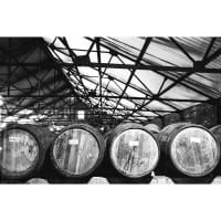 Auchentoshan 18 Jahre Lowland Single Malt 43% Vol. 0,7 Ltr. Flasche Whisky