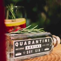Quarantini Gin - Social Dry Gin 0,5l 42%