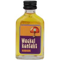 Wackelkontakt - Mandarinenlikör 0,02l, 20 Stück im Karton 16% Vol.