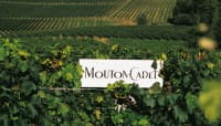 Mouton Cadet Rouge Bordeaux AOC
