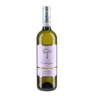 Gio Pinot Grigio Veneto 1,5 Ltr. Flasche